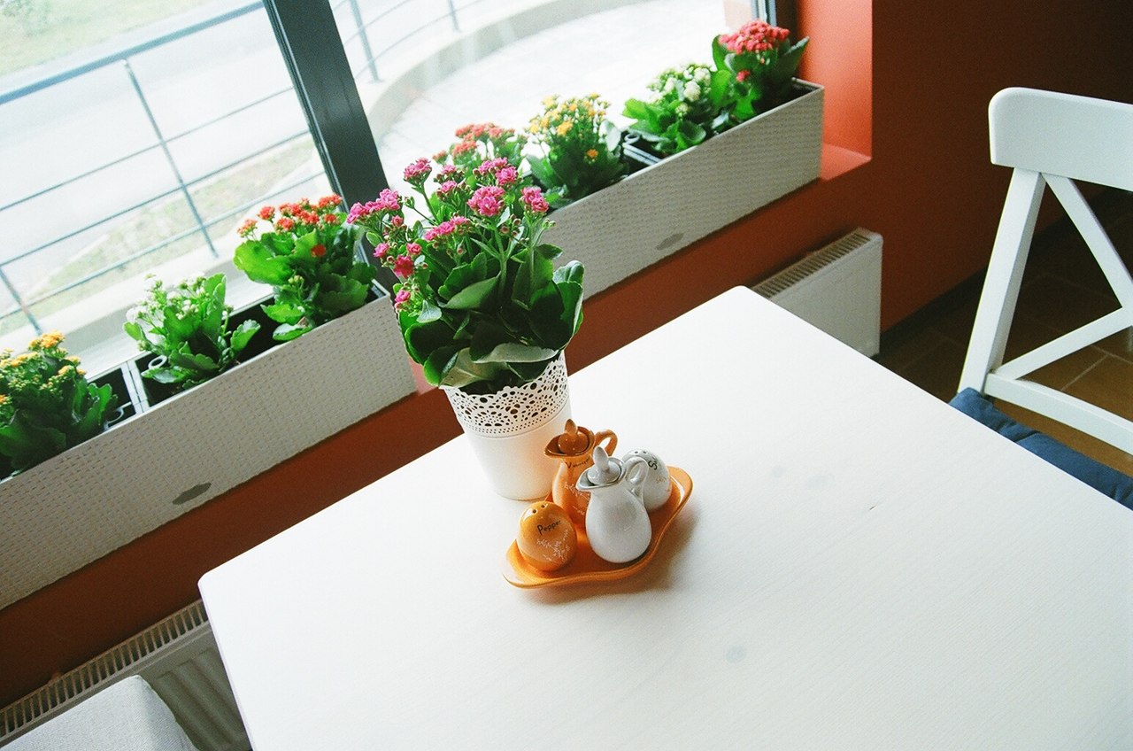 qmC4Mqo8sx0.jpg