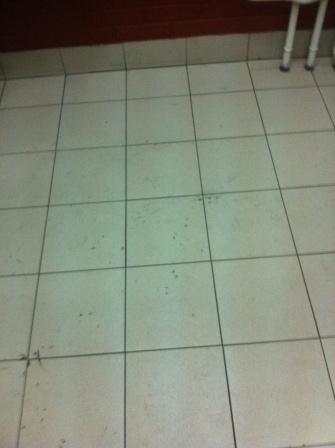 IMG_0944.JPG