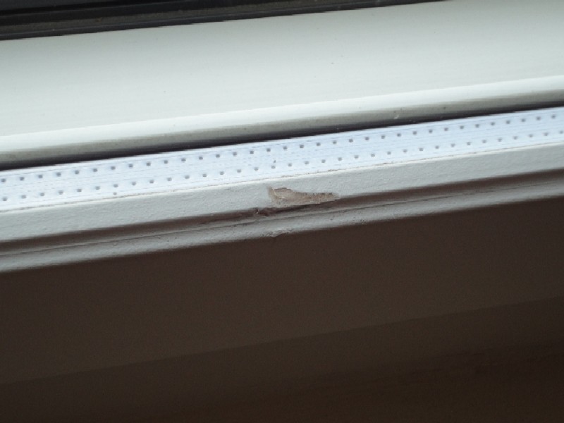 DSC01140.JPG